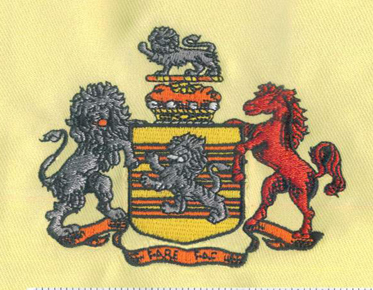 embroidery digitizing lion